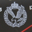 Army Air Corps Badge Crop